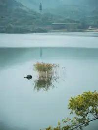 陰天闖進宜興｜這鬆弛感我能癱一天