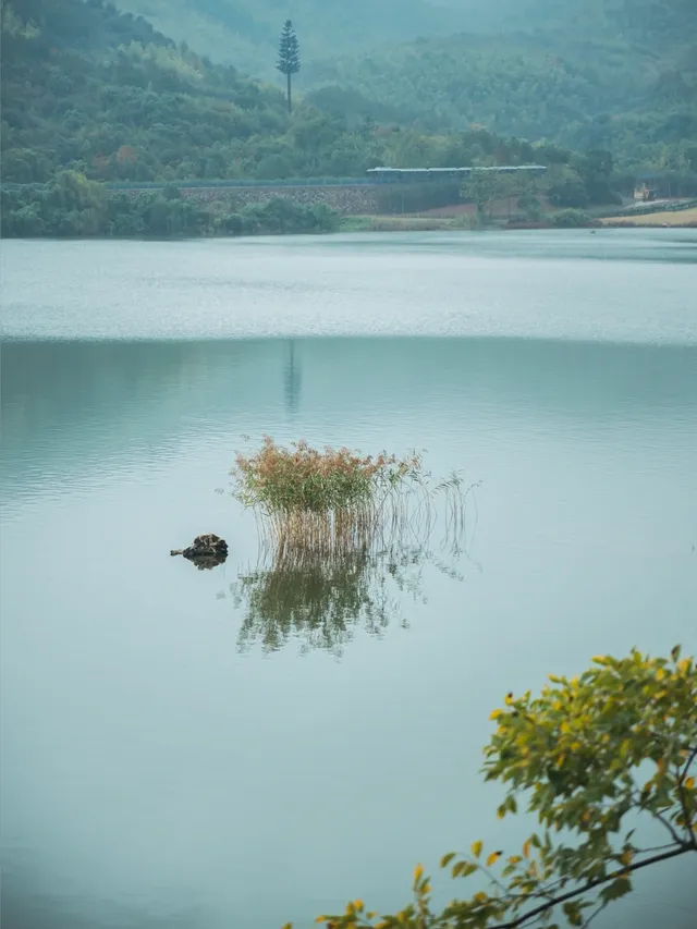 陰天闖進宜興｜這鬆弛感我能癱一天