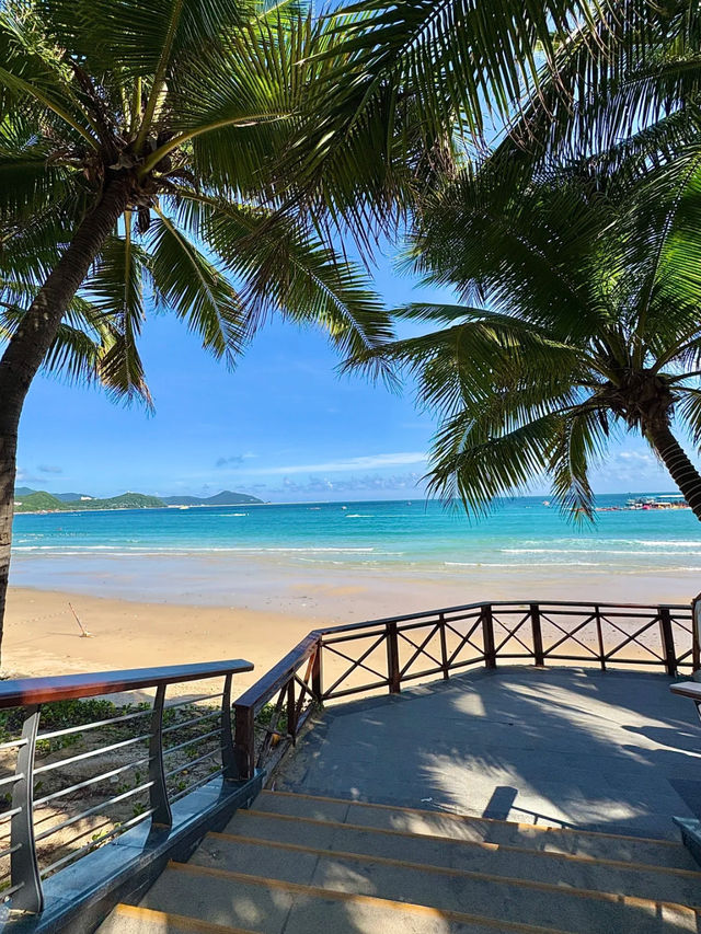 三亞7天防雷踩坑攻略！看完這篇省下1000塊