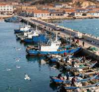 山海之間的仙境之旅