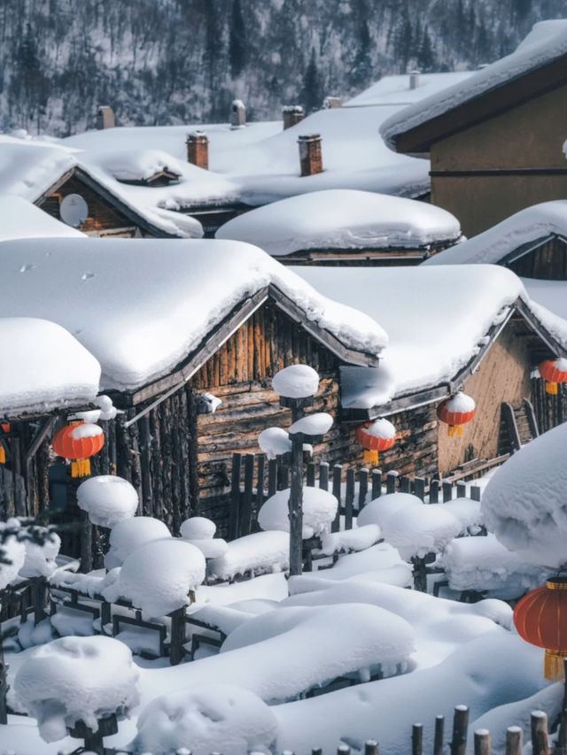 東北5日遊保姆級攻略玩轉冰雪 東北5日遊保姆級攻略玩轉冰雪