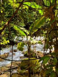 12月闖進「綠野仙蹤」!廣西通靈大峽谷3天2晚回血全攻略