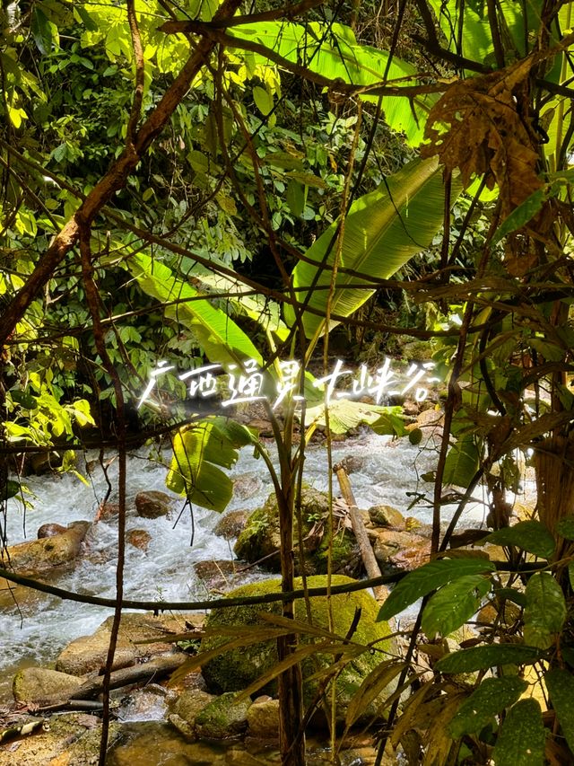 12月闖進「綠野仙蹤」!廣西通靈大峽谷3天2晚回血全攻略 12月闖進「綠野仙蹤」!廣西通靈大峽谷3天2晚回血全攻略