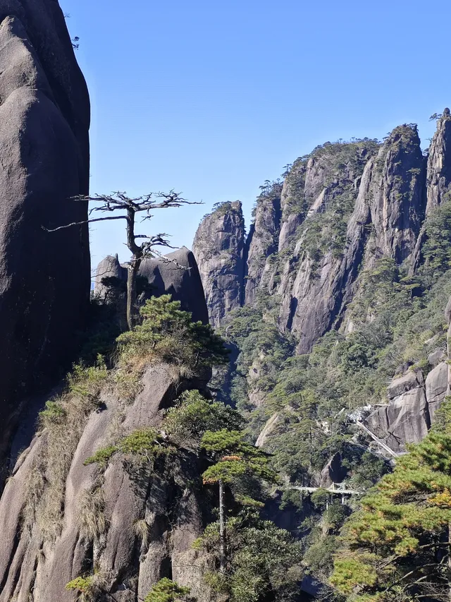 三清山的淡季青綠，比五嶽更懂打工人的放空