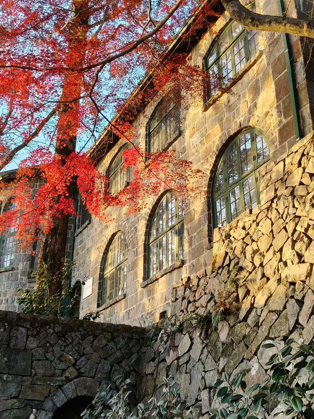 秋染莫干山，別有風味