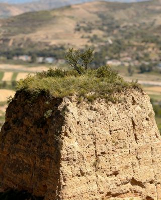 Haiyuan Nanny-Level Guide to Explore Stunning Attractions