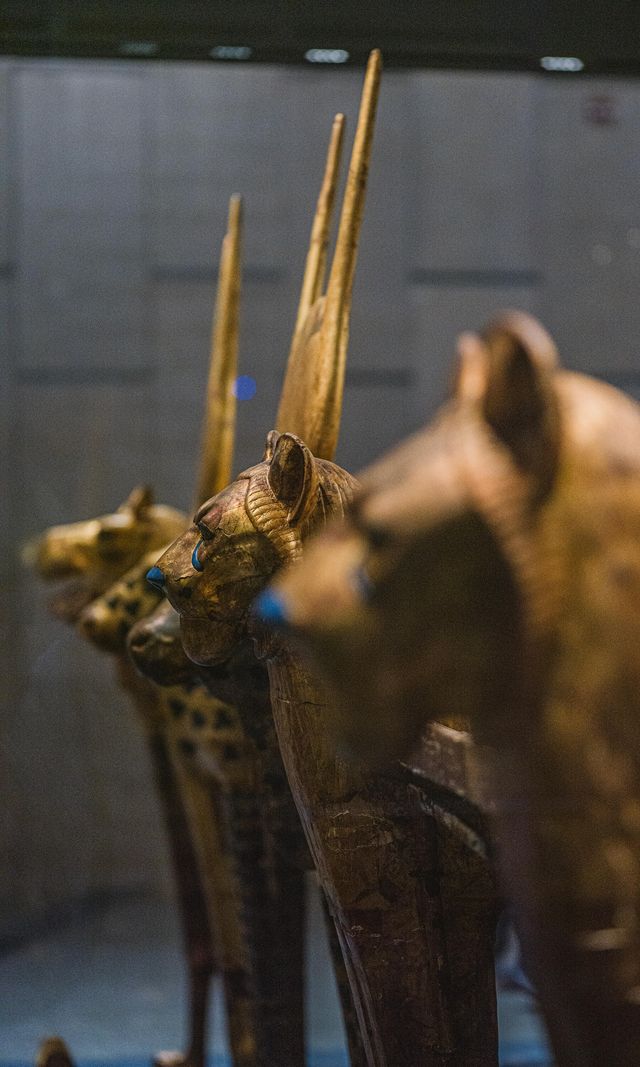 大埃及博物館,沉浸式感受古埃及文明 大埃及博物館,沉浸式感受古埃及文明