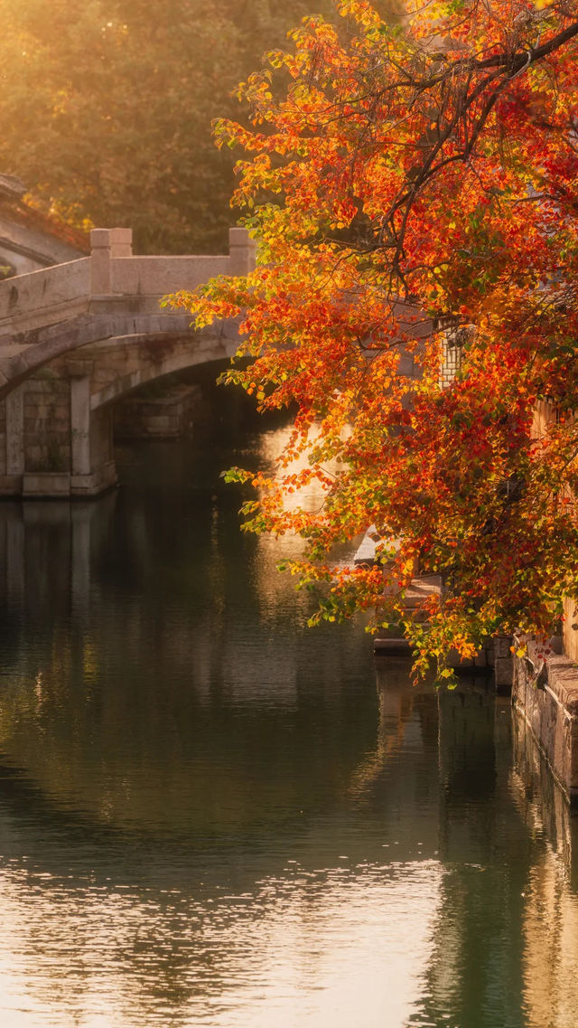 全屏封神 | 理想的秋天,就該這樣熱烈 全屏封神 | 理想的秋天,就該這樣熱烈