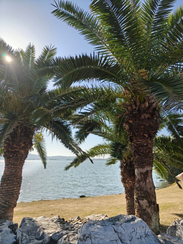 無錫6公里油畫輕徒步路線