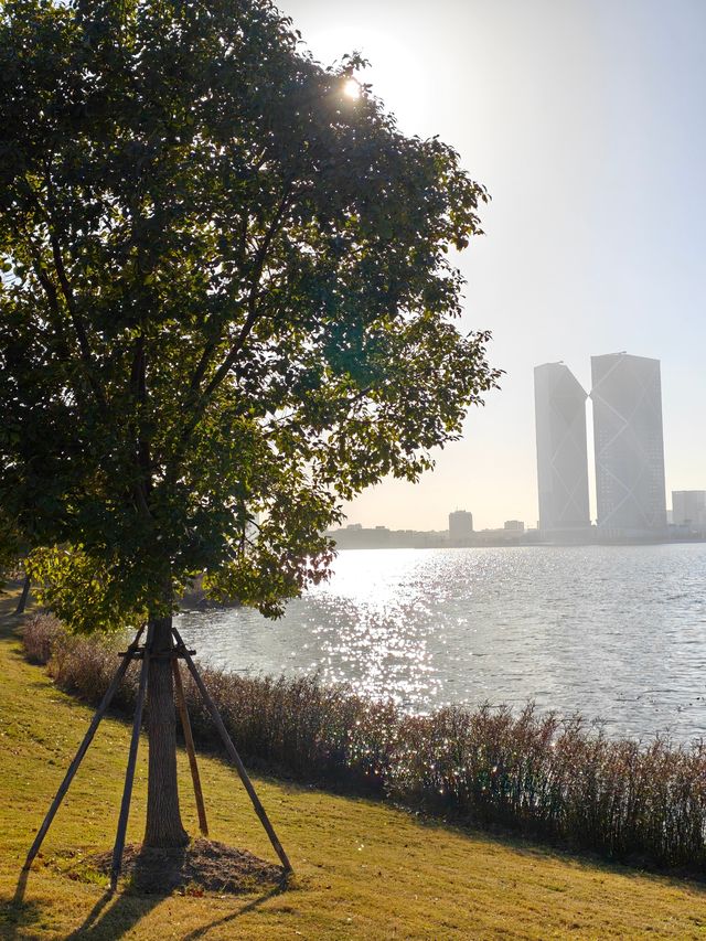 滴水湖真的太適合遛娃了！！！！