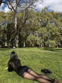 都市浪漫花海漫遊