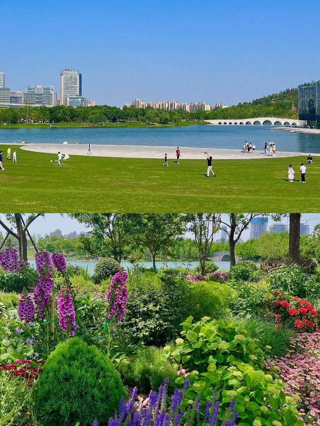 都市浪漫花海漫遊