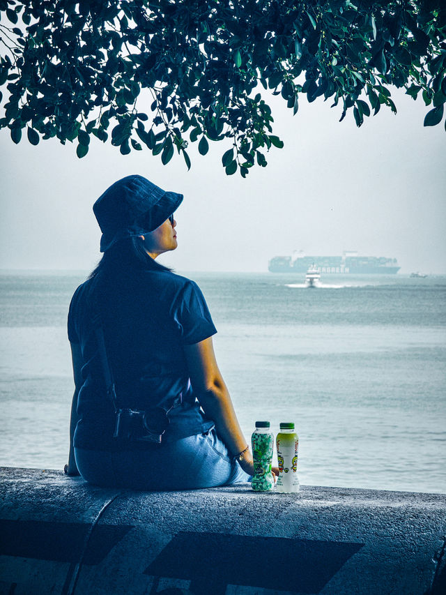 赤柱端午漫遊｜龍舟賽+海濱超熱鬧