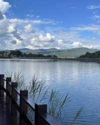 雲南普洱|「梅子湖公園」城市裡的天然氧吧