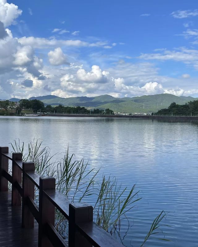 雲南普洱|「梅子湖公園」城市裡的天然氧吧 雲南普洱|「梅子湖公園」城市裡的天然氧吧