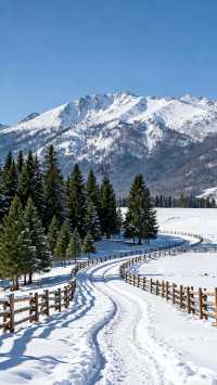 喀納斯禾木冬季遊玩攻略|||以下是一份詳細的喀納斯禾木冬