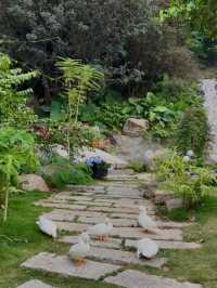 城市中心的氧吧🫧