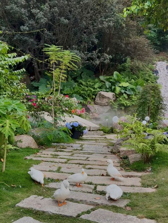 城市中心的氧吧🫧 城市中心的氧吧🫧