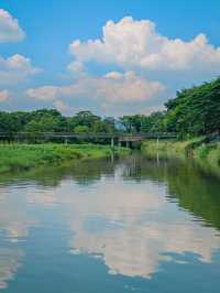 去一萬次都不夠！深圳我最愛的治癒系公園！