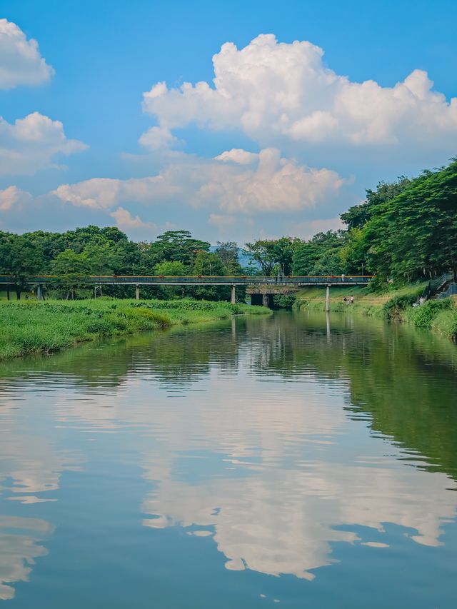 去一萬次都不夠！深圳我最愛的治癒系公園！
