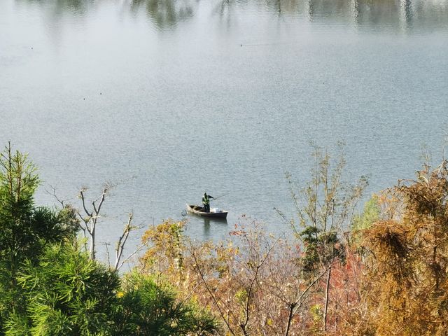 魔都秋色打卡 魔都秋色打卡