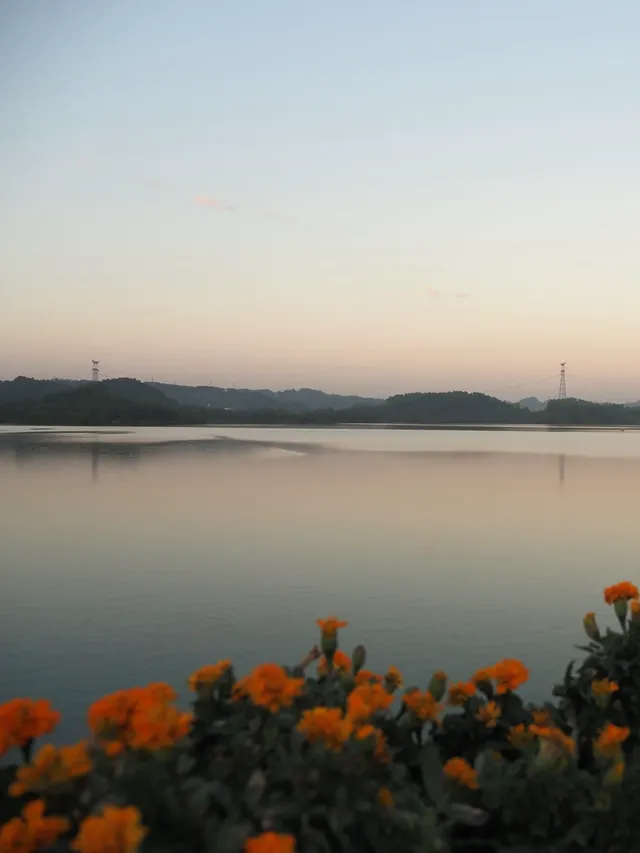 ｜抓住一個出門溜溜就好開心的濃濃