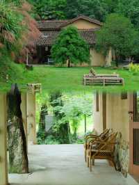 西坡江山｜躺進浙西秘境，住進萬畝梯田神仙民宿