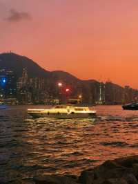 香港西九龍聖誕樹打卡攻略首日亮燈實拍絕了!