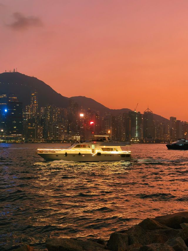 香港西九龍聖誕樹打卡攻略首日亮燈實拍絕了! 香港西九龍聖誕樹打卡攻略首日亮燈實拍絕了!