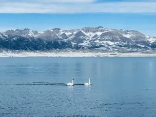 Sailimu Lake Winter Limited Pink Snow Mountain