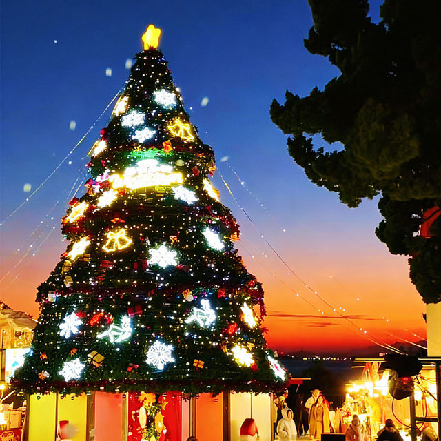 與小鹿撞個滿懷,不必遠赴北歐.·* 與小鹿撞個滿懷,不必遠赴北歐.·*