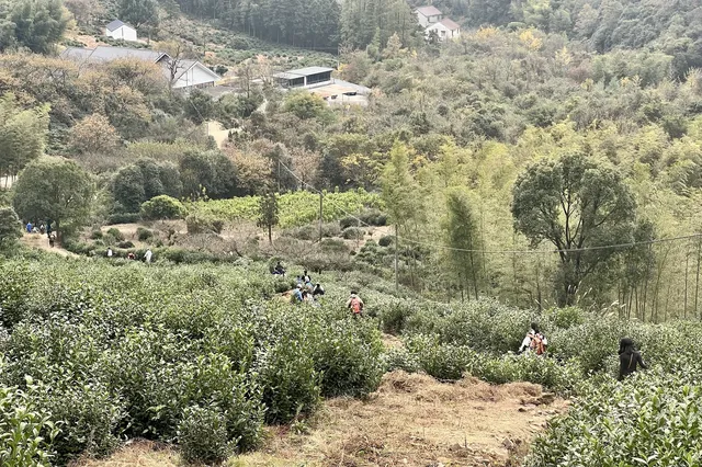 山野童行丨烏龍古道+八都岕一日暴走攻