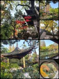 江南煙雨中的五大古典園林之一·曲水園