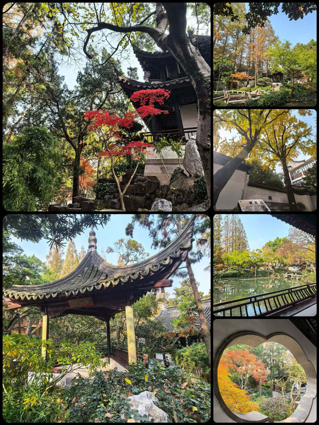 江南煙雨中的五大古典園林之一·曲水園 江南煙雨中的五大古典園林之一·曲水園