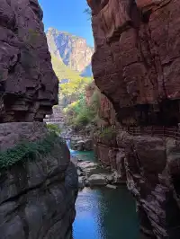 雲台山親子遊天花板帶娃嗨玩不費媽！