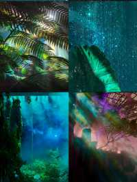 以為海洋館夠絕了，直到闖進上海這片水底森林