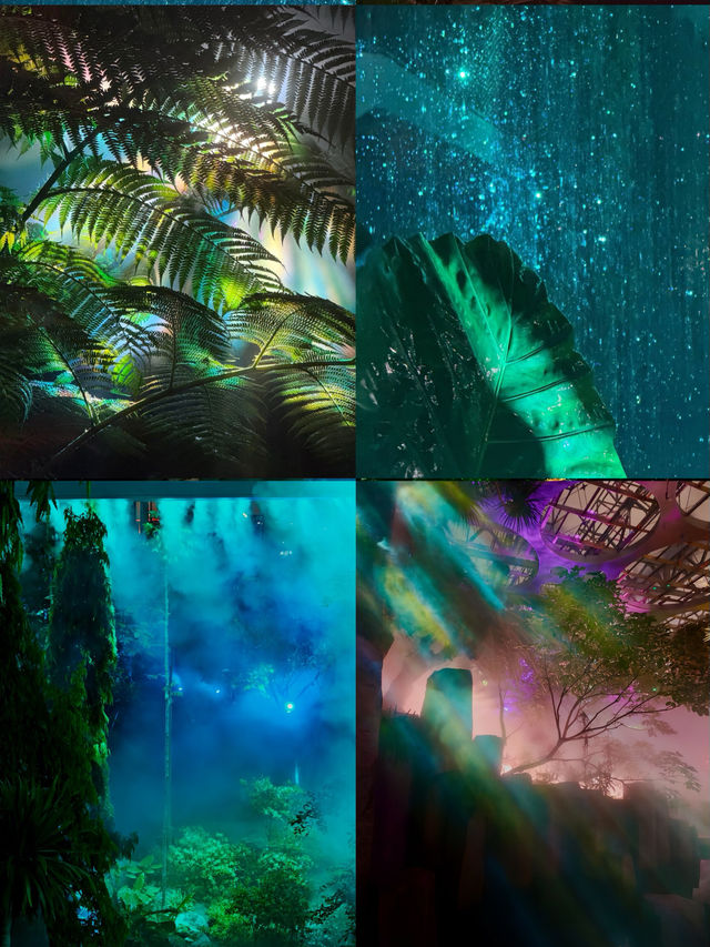 以為海洋館夠絕了，直到闖進上海這片水底森林