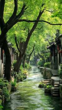 安徽!西溪南無人秘境指南