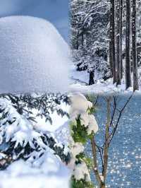 西安秦嶺12月封神|闖入冰雪秘境,美到不想下山