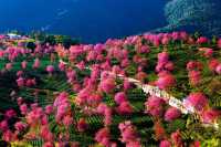 大理逛吃攻略|風花雪月全體驗!