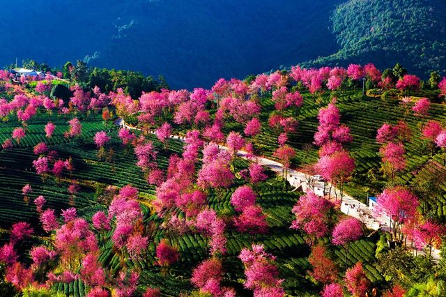 大理逛吃攻略|風花雪月全體驗! 大理逛吃攻略|風花雪月全體驗!