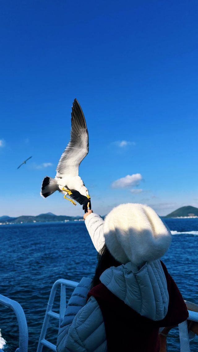 濟州島4天3晚無腦跟團玩