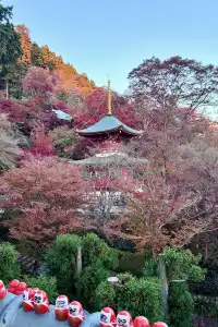 大阪勝尾寺夜間點燈絕美!跟白天完全不同