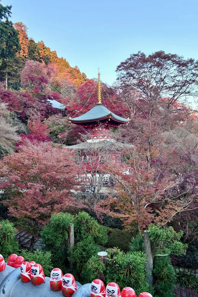 大阪勝尾寺夜間點燈絕美!跟白天完全不同 大阪勝尾寺夜間點燈絕美!跟白天完全不同