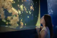 拍半小時!加修了幾百!原因太好看