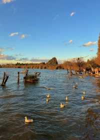 日落是溫柔，浪漫是和你一起看過的瞬間