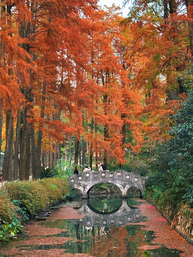 湖北新生旅遊年卡武漢植物園全攻略