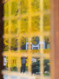 12.5實拍！真如寺銀杏，元代古剎小眾賞秋！