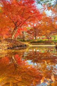 上海元旦旅遊王炸跨年瘋玩攻略,本地人私藏