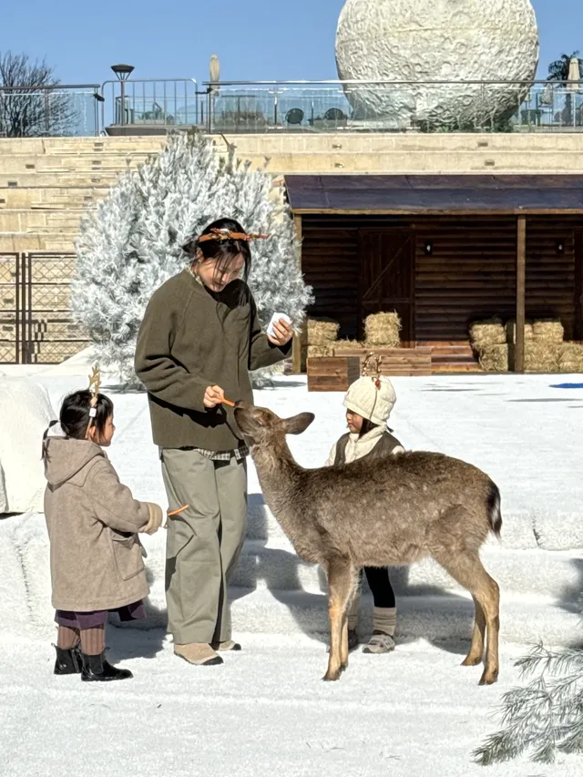 小來黃島嘉年華海信廣場啦~ 小來黃島嘉年華海信廣場啦~